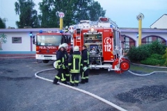 3a