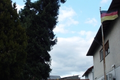 DSC09742