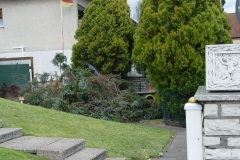 DSC0975601