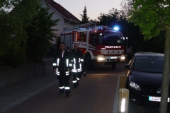 DSC09786
