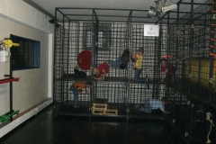 Cimg5506