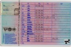 fuehrerschein_hinten