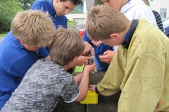Bild_574