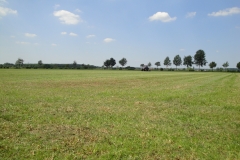 DSC00597
