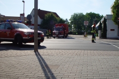 DSC05570