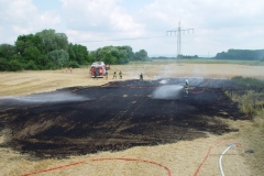 flaechenbrand13072010_3