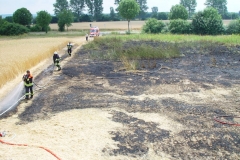 flaechenbrand13072010_5