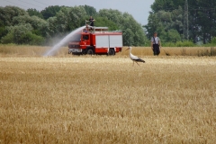 flaechenbrand13072010_6