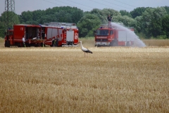 flaechenbrand13072010_7