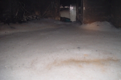 DSC05751