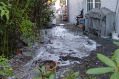 DSC09888