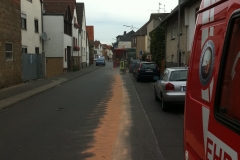 Bild_173