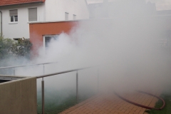 DSCF0400