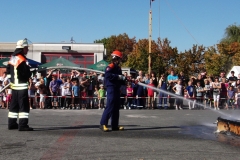 DSCF0598