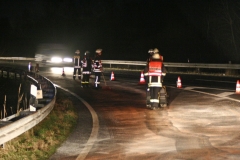 OElspur_3
