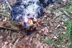Bild_093