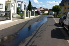 Bild_113