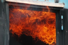 197-Fire-Dragon_02