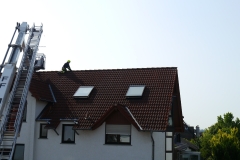 Bild1