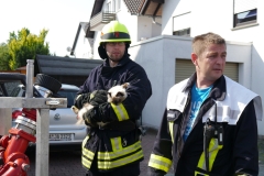Bild3