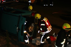 bild4