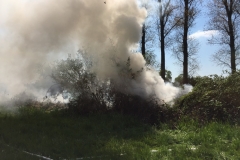 Feuer3