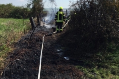 Feuer5