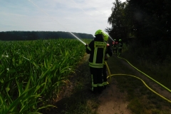 2016-07-10_Waldbranduebung01