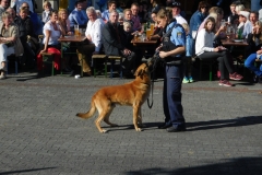 DSCN0780