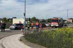 Bauherrengrillen02