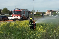 Bauherrengrillen03