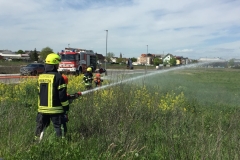Bauherrengrillen04