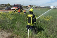 Bauherrengrillen05