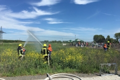 Bauherrengrillen06