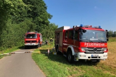 Waldbranduebung_2018-02