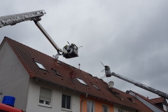 20190314_145545