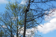 DSCN0086