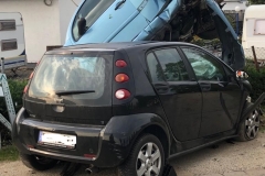 IMG-20190518-WA0005