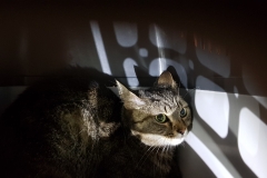20190617_000424