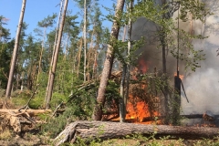 Wald04a