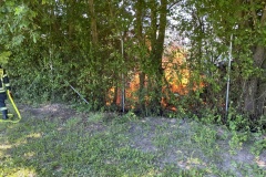 2020-06-26_Brennt-Wald_03
