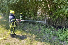 2020-06-26_Brennt-Wald_04