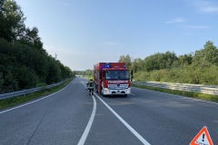 IMG_1281